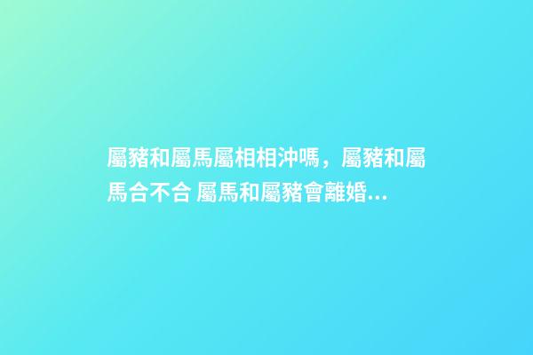 屬豬和屬馬屬相相沖嗎，屬豬和屬馬合不合 屬馬和屬豬會離婚嗎-第1張-觀點-玄機派